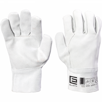 J11_Palm&Back.png