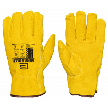 WRG250_Palm&Back.png